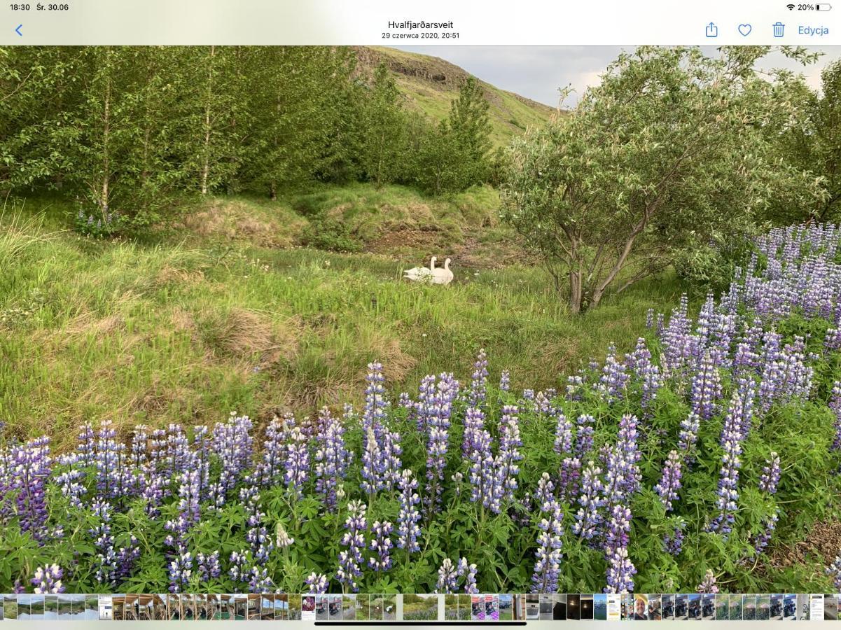 Feriehus Icelandic House