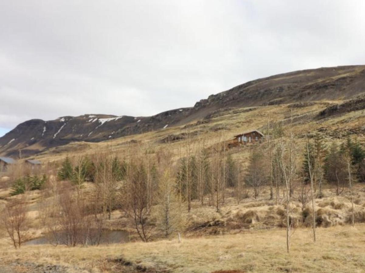 Icelandic House